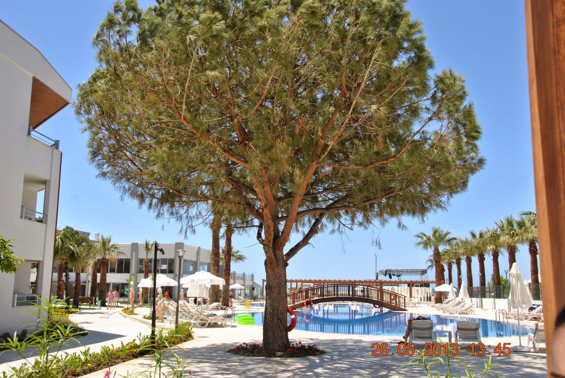 imagini hotel PALM WINGS KUSADASI